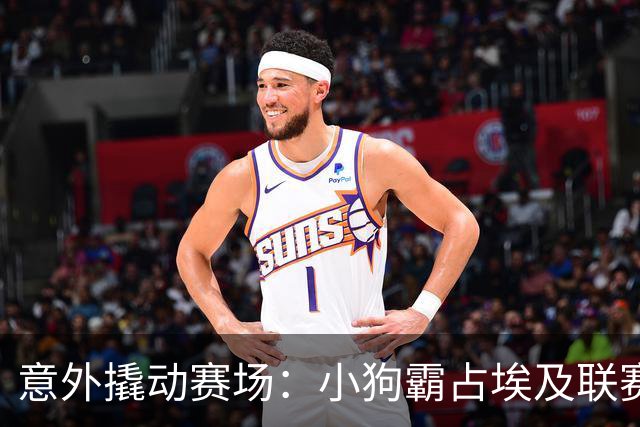 意外撬动赛场：小狗霸占埃及联赛的瞬间